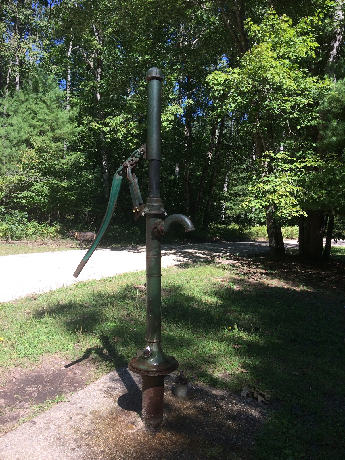 Timber Creek NF Campground