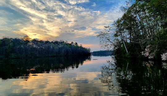 Roland Cooper State Park