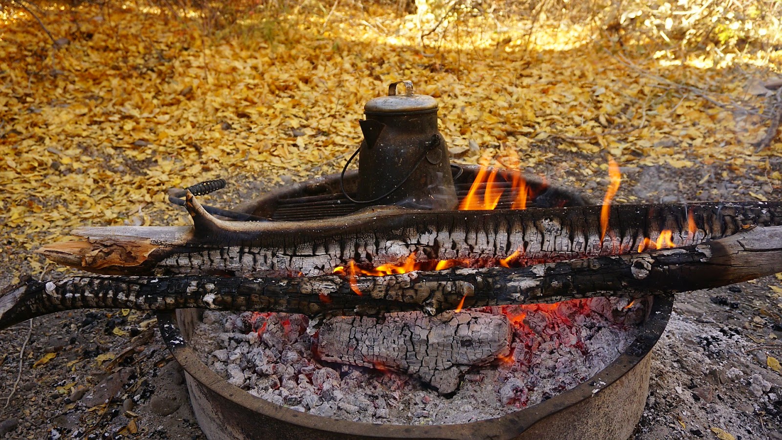 Cleve Creek Campground