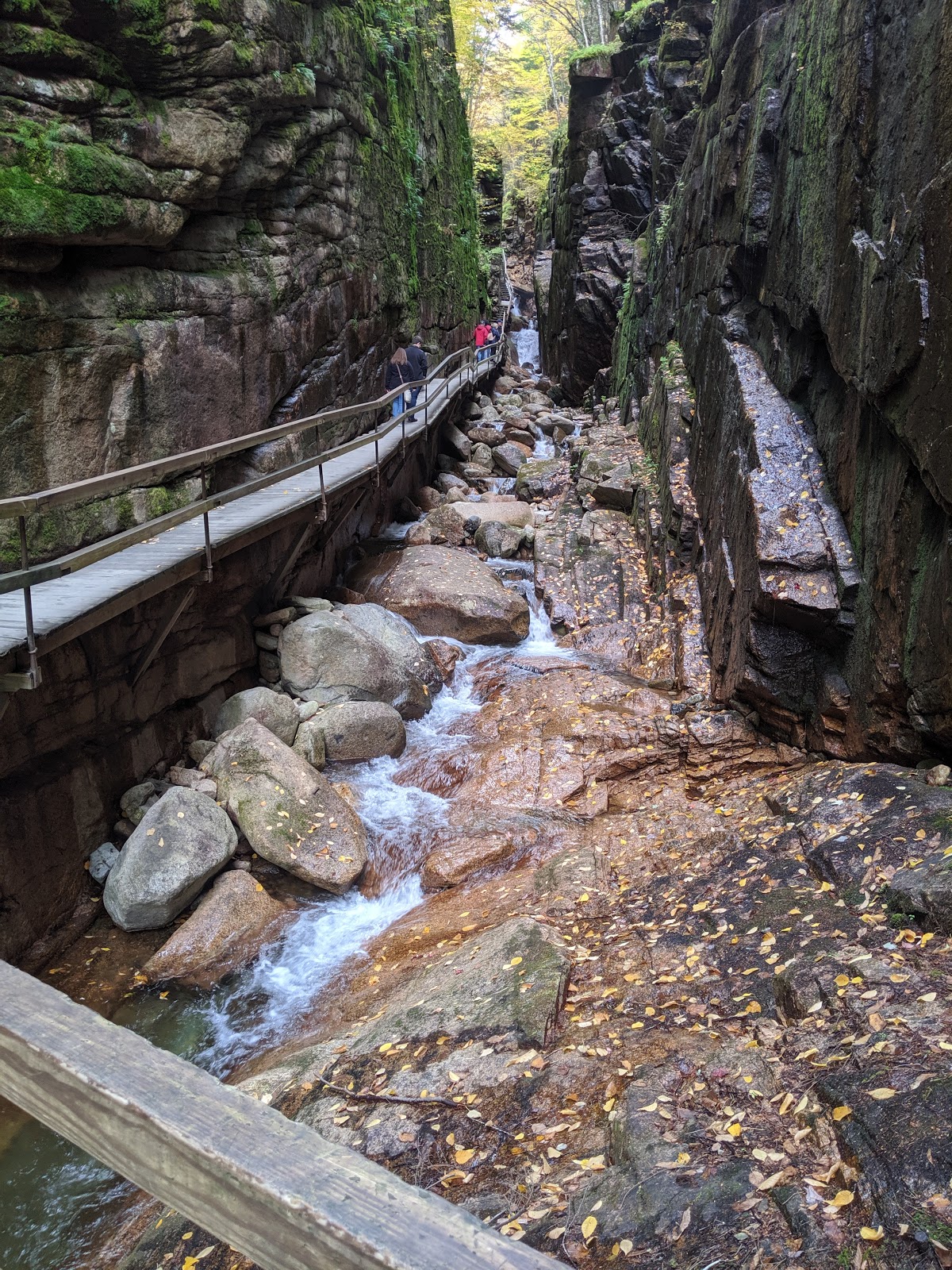 The Flume/Franconia Notch State Park