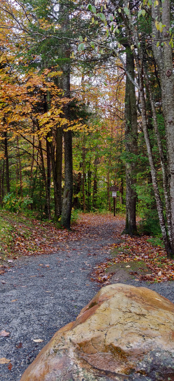 Grout Pond NF Campground
