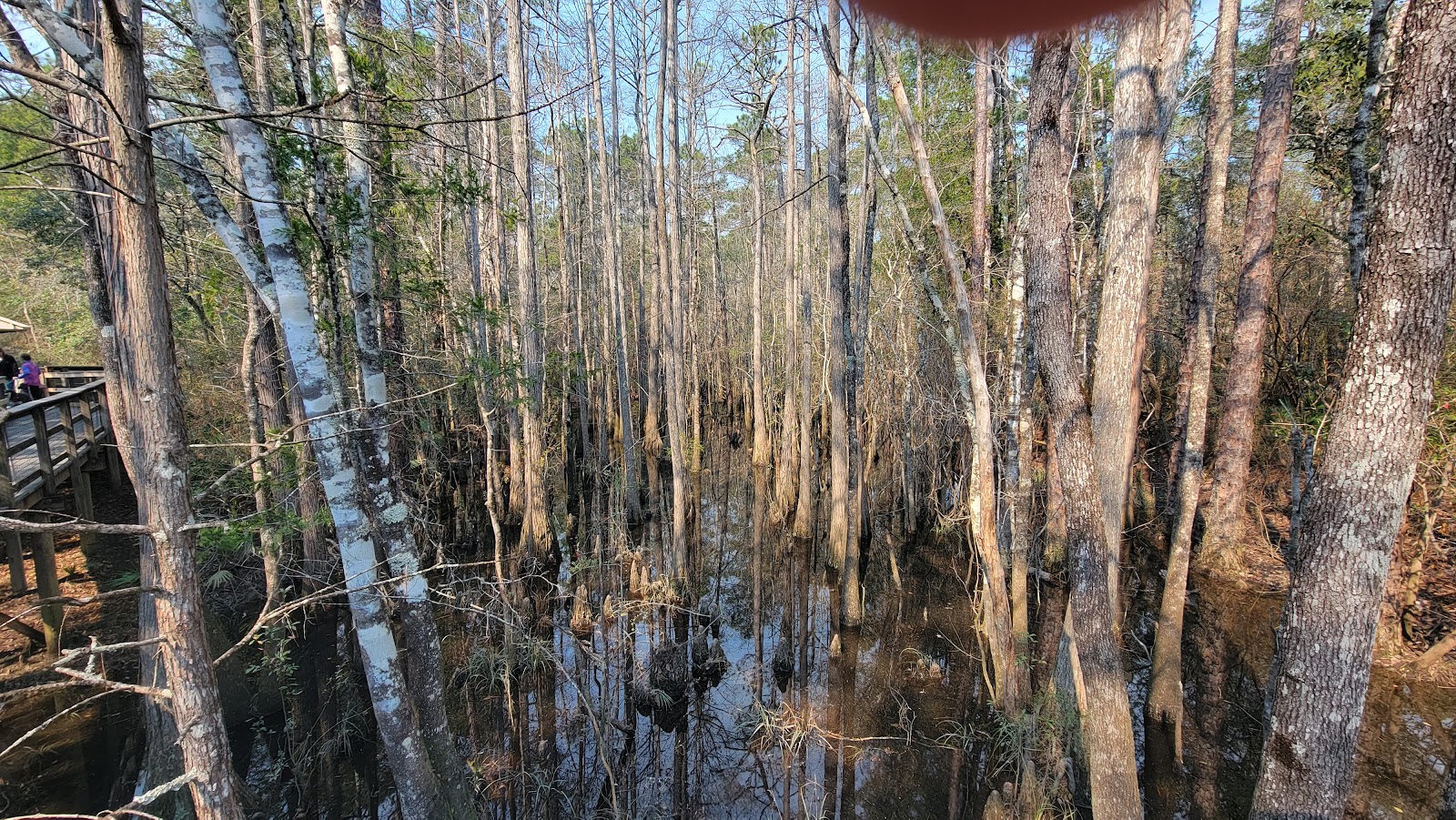 Blackwater River State Park