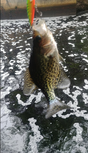 Belhaven Lake RV Resort