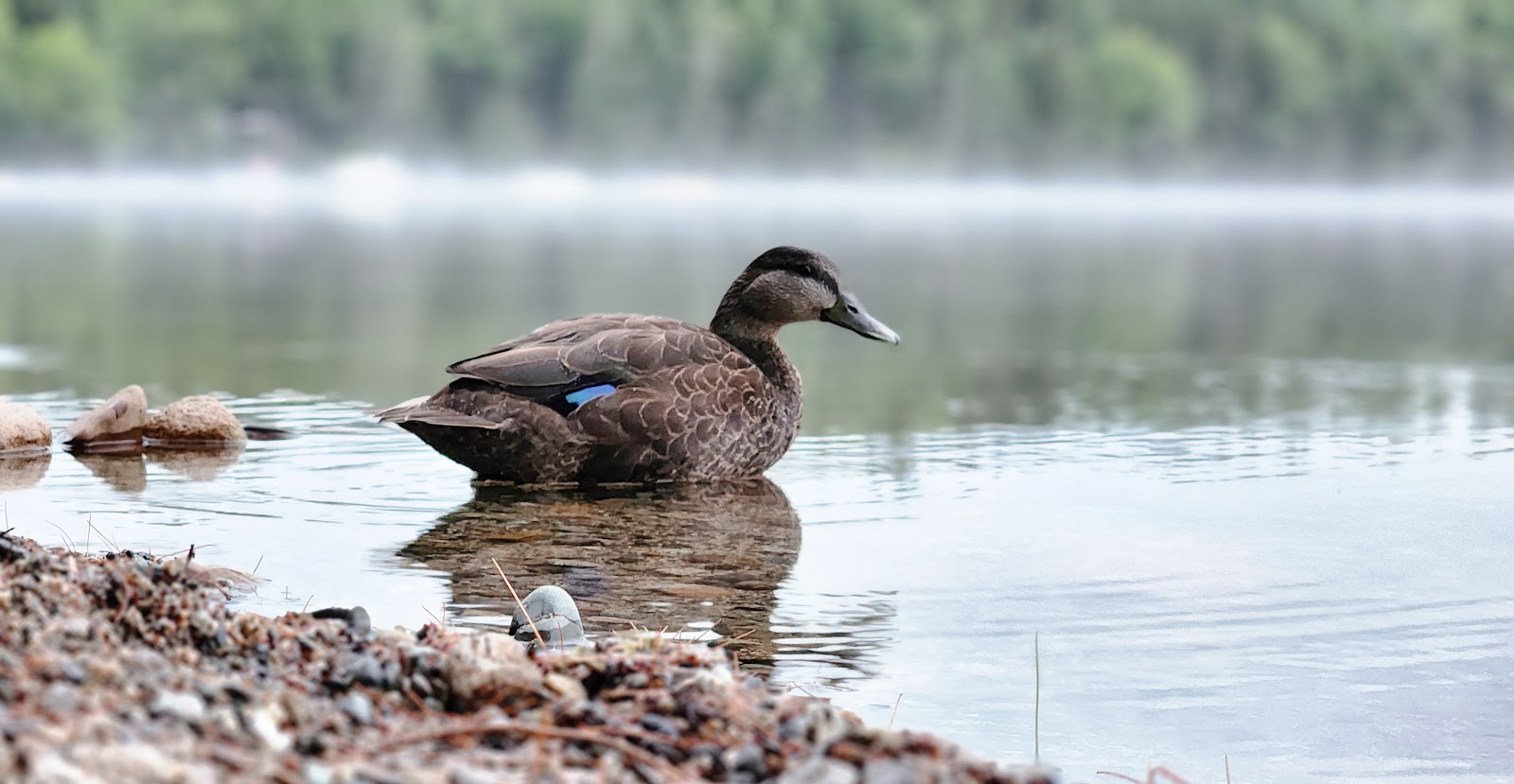 Jo-Mary Lake Campground