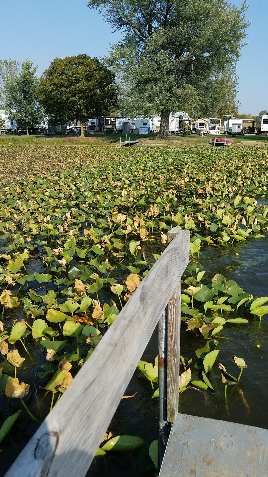 Lakeview Campgrounds
