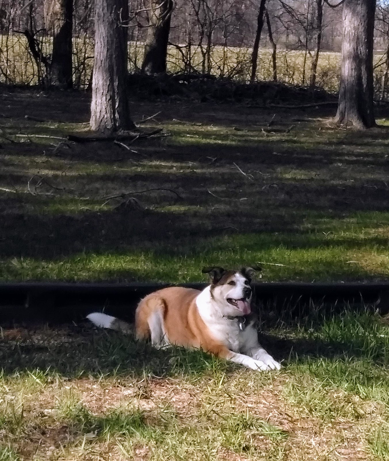 Greenwood County Park & Campground