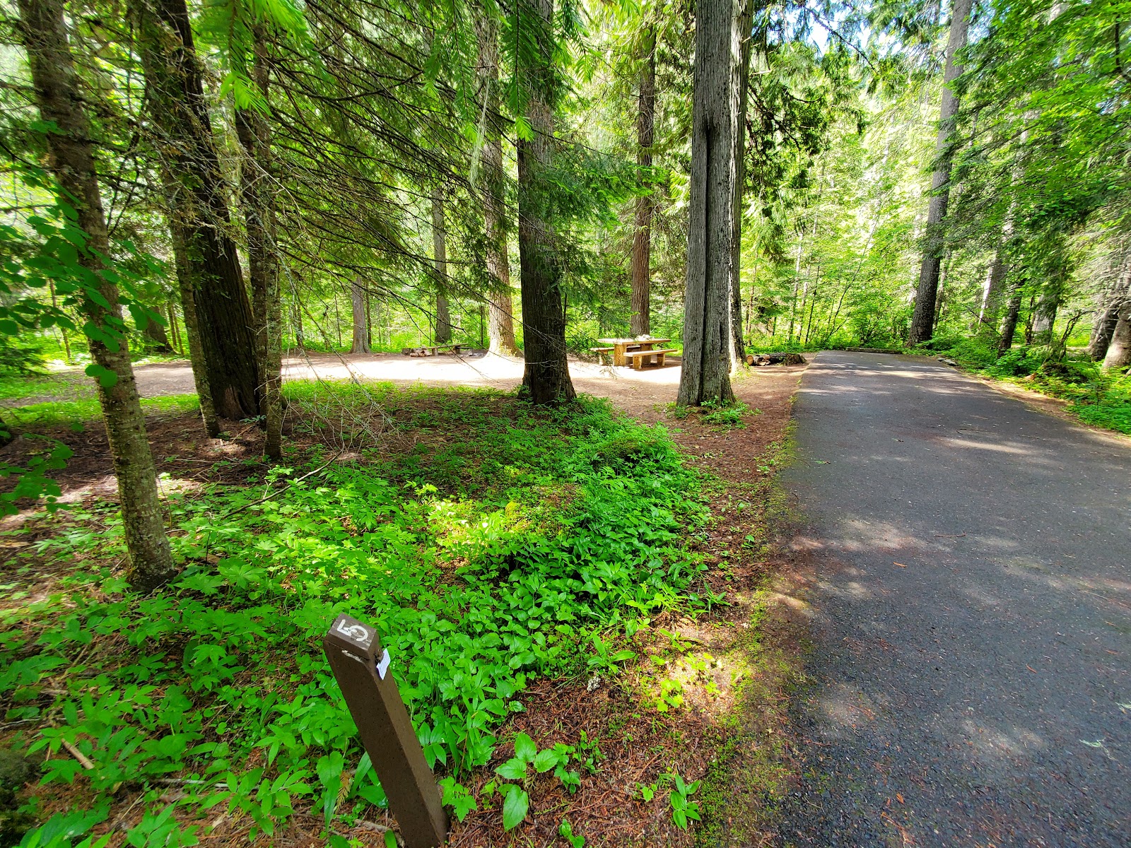 Tin Can Flat Campground