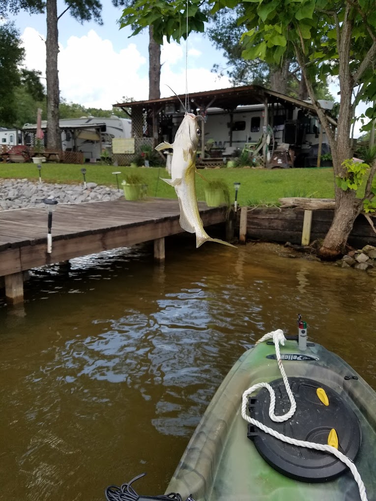 Knox Landing Campground