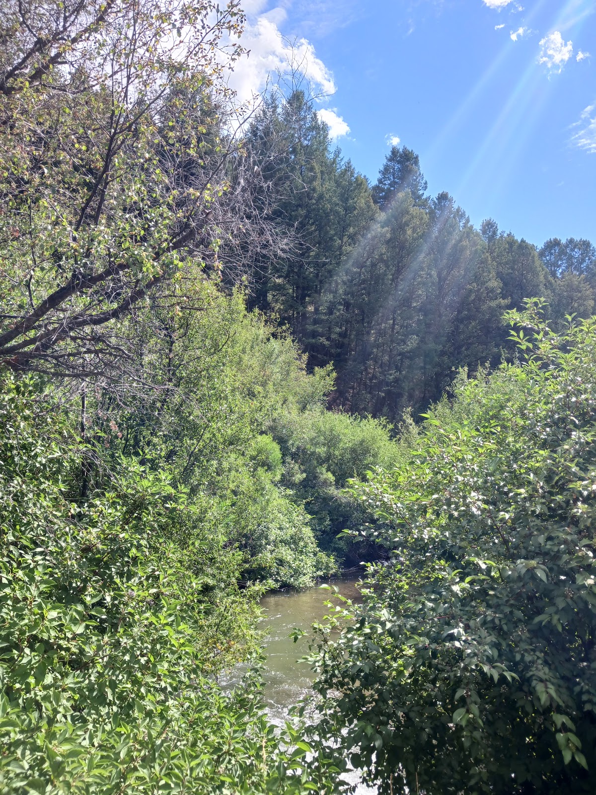 Montpelier Canyon Campground