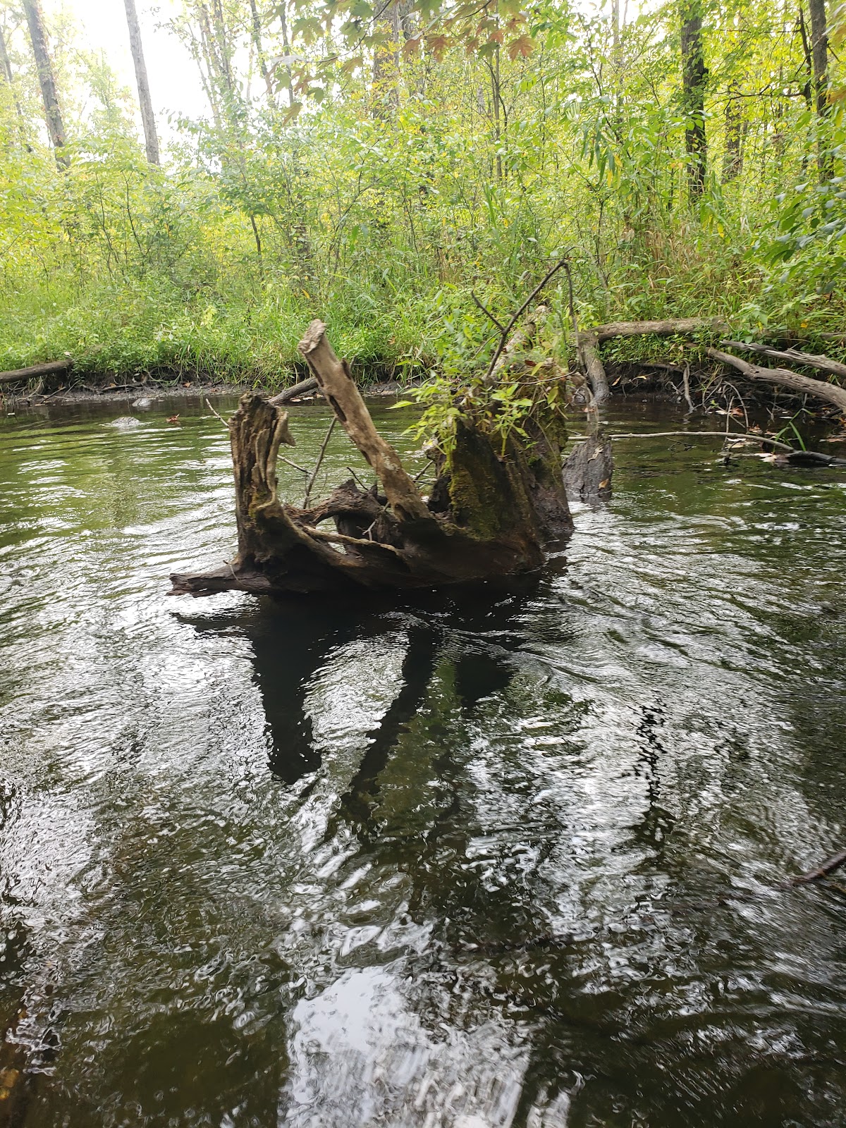 Twin Pine Campground & Canoe