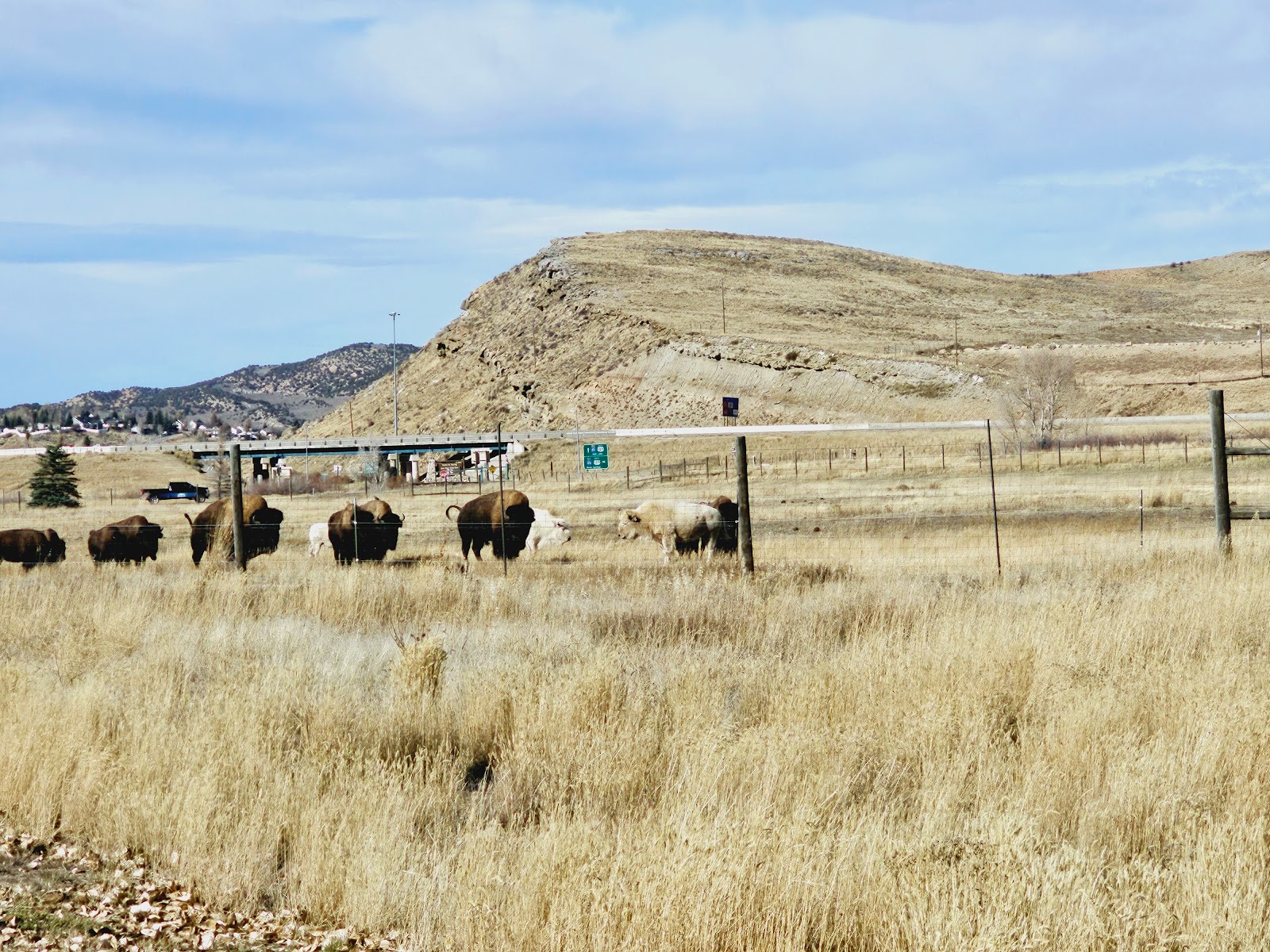 Bear River State Park