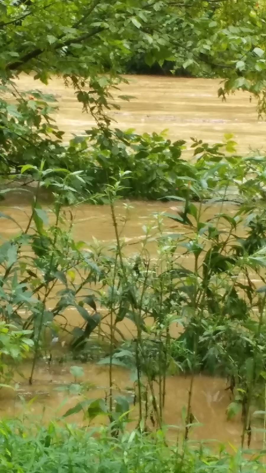 Mt. Morris Campground