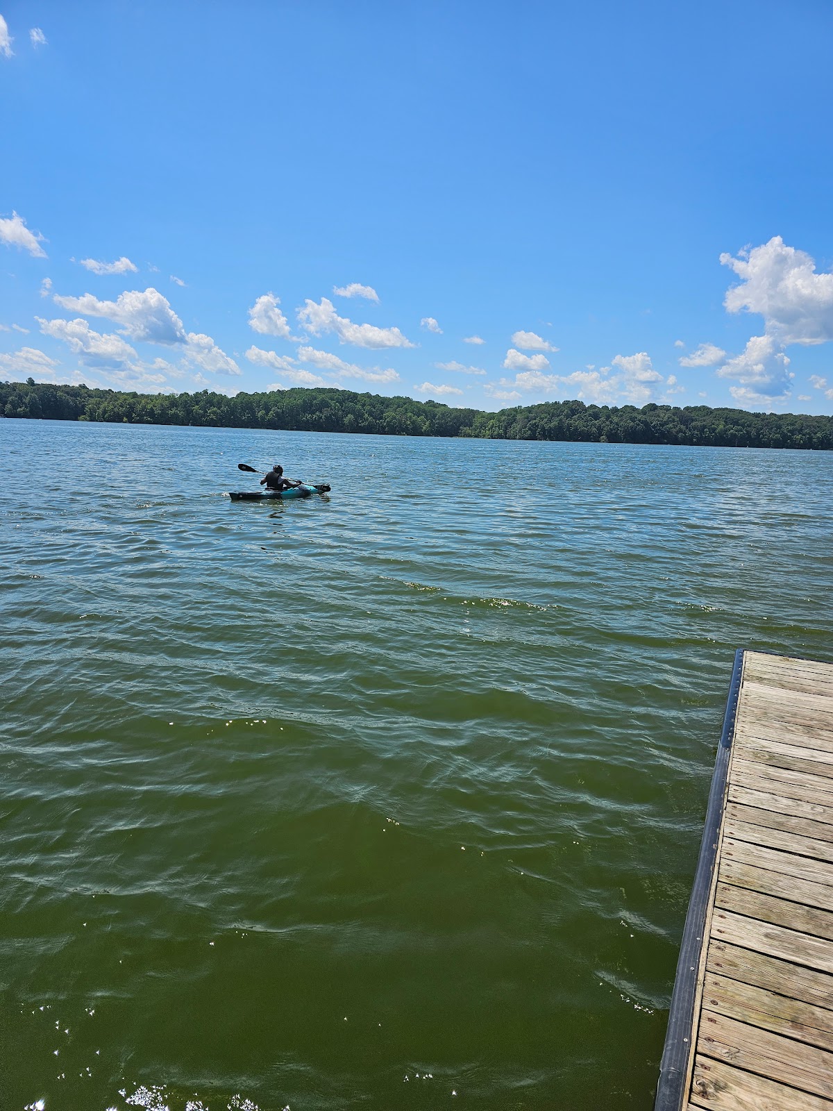 Go Ape Zipline & Adventure Park