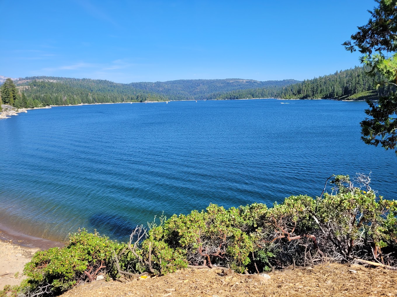 Ice House Campground