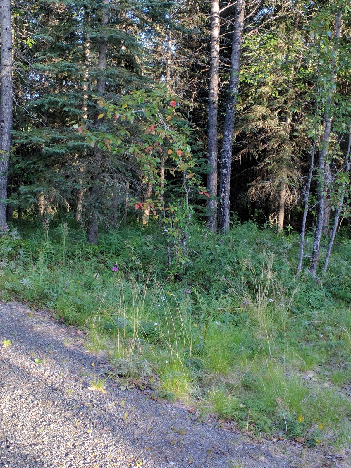 Izaak Walton State Recreation Site