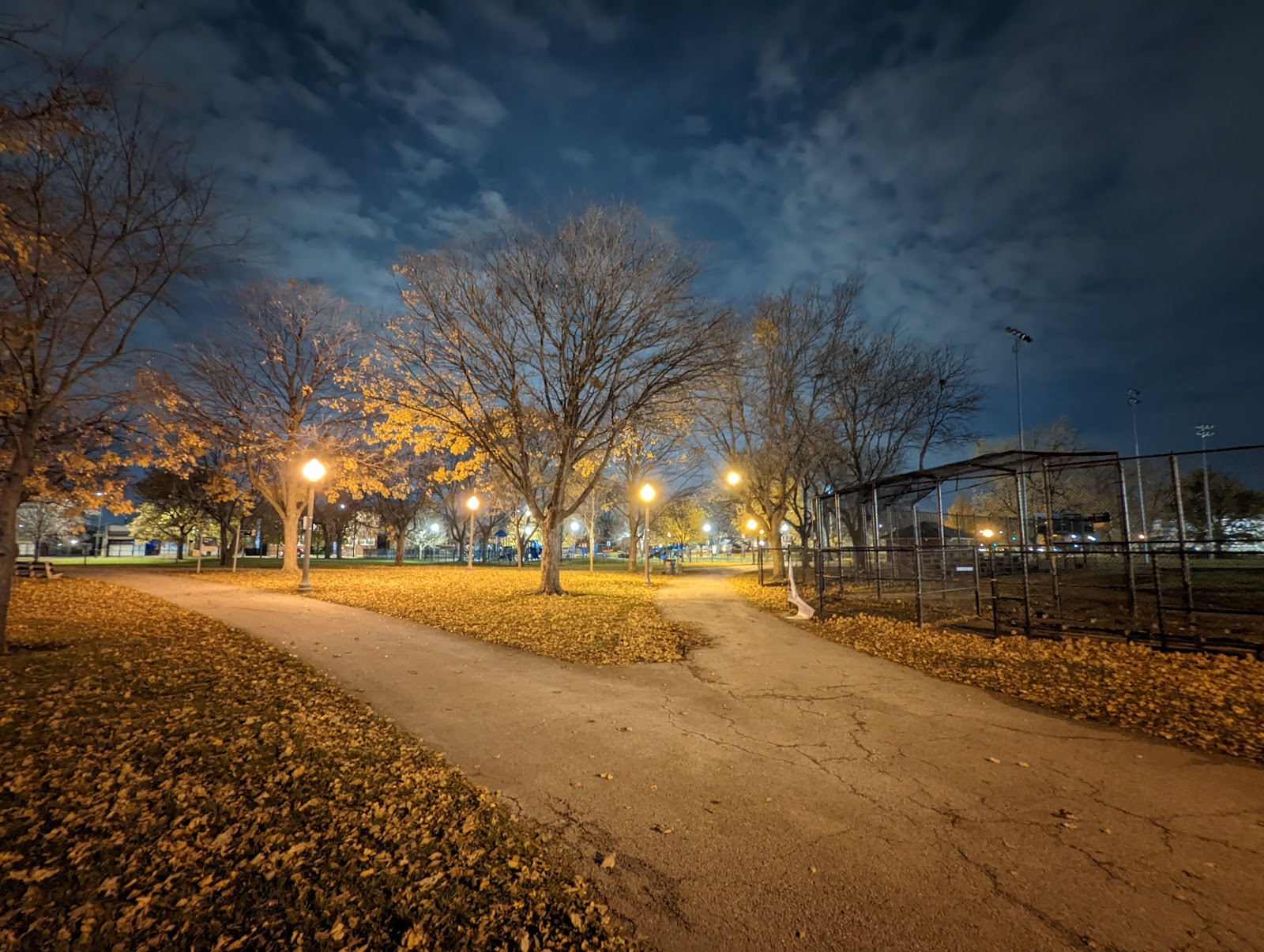 Portage Park