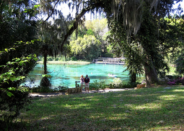 Three Trees Canoe Rental & RV Park