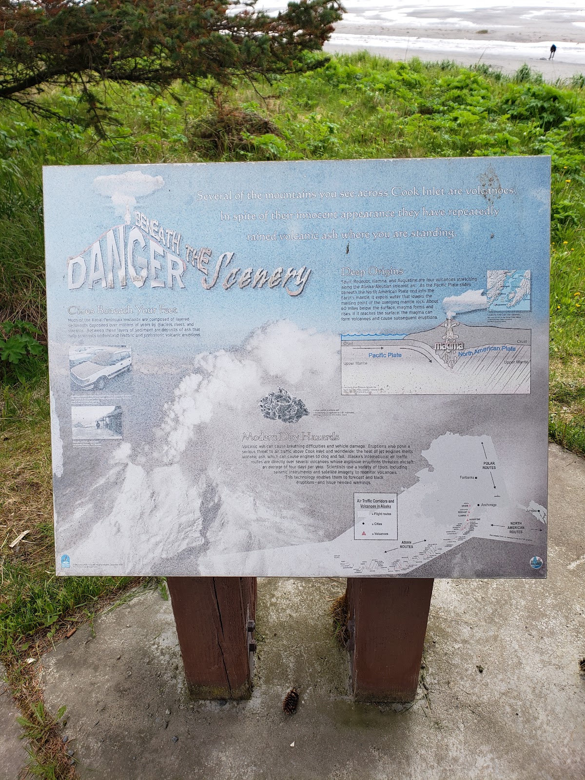 Halibut Campground - Anchor River SRA