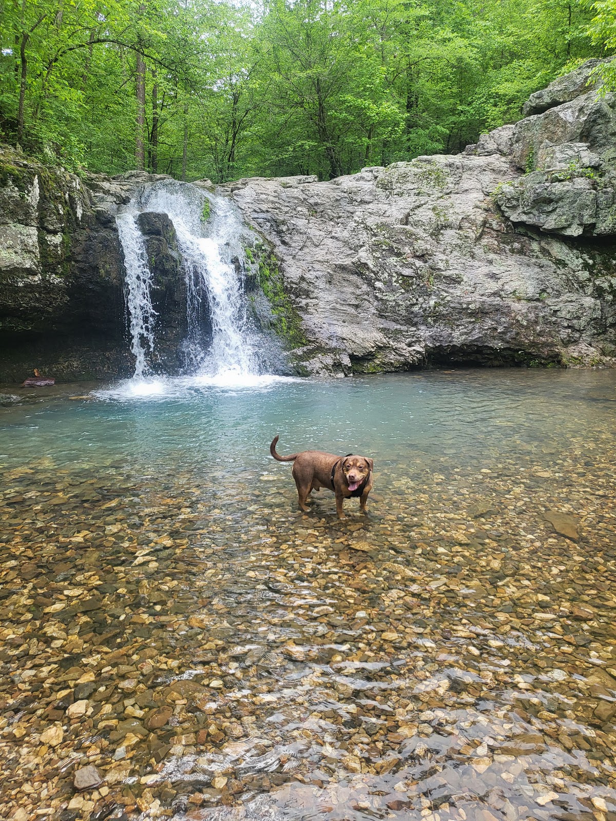 Lake Catherine Camp Ground