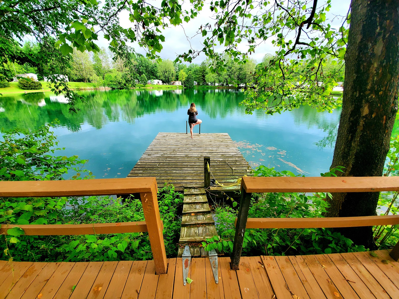 Thorntree MHP and Campground LLC