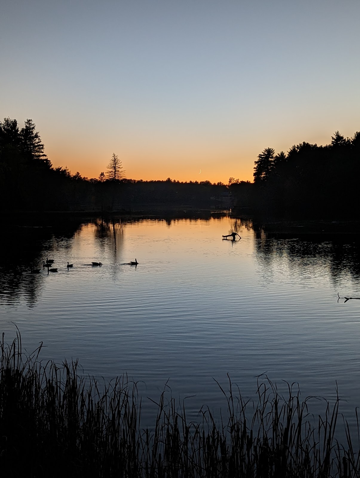 South Wood County Park