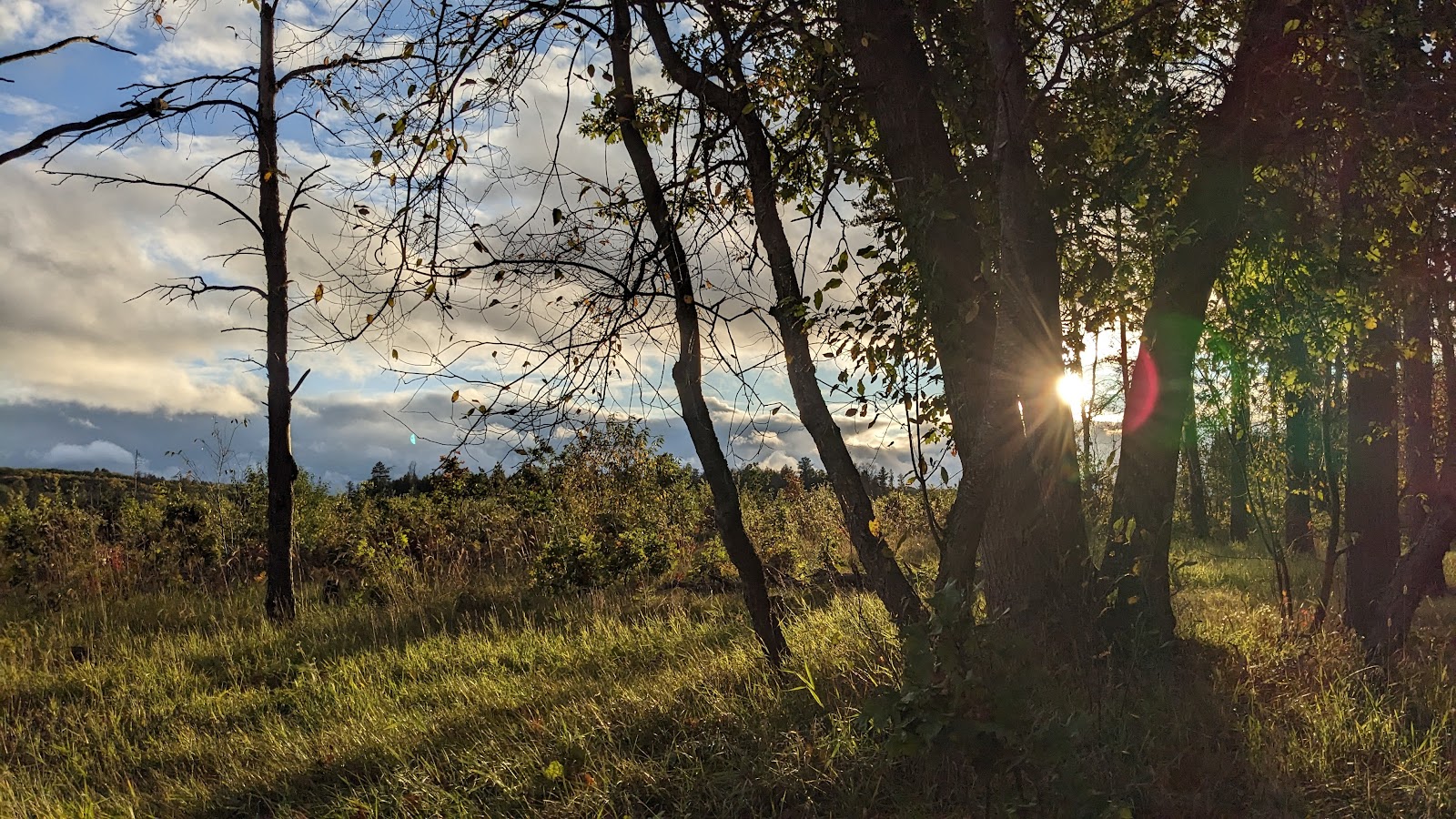McKinley Horse Trail Campground
