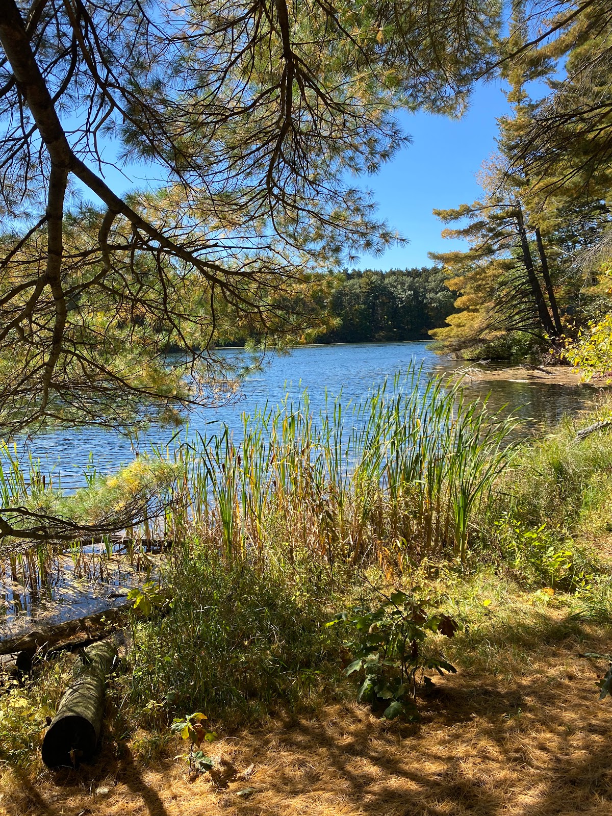 Hartman Creek State Park