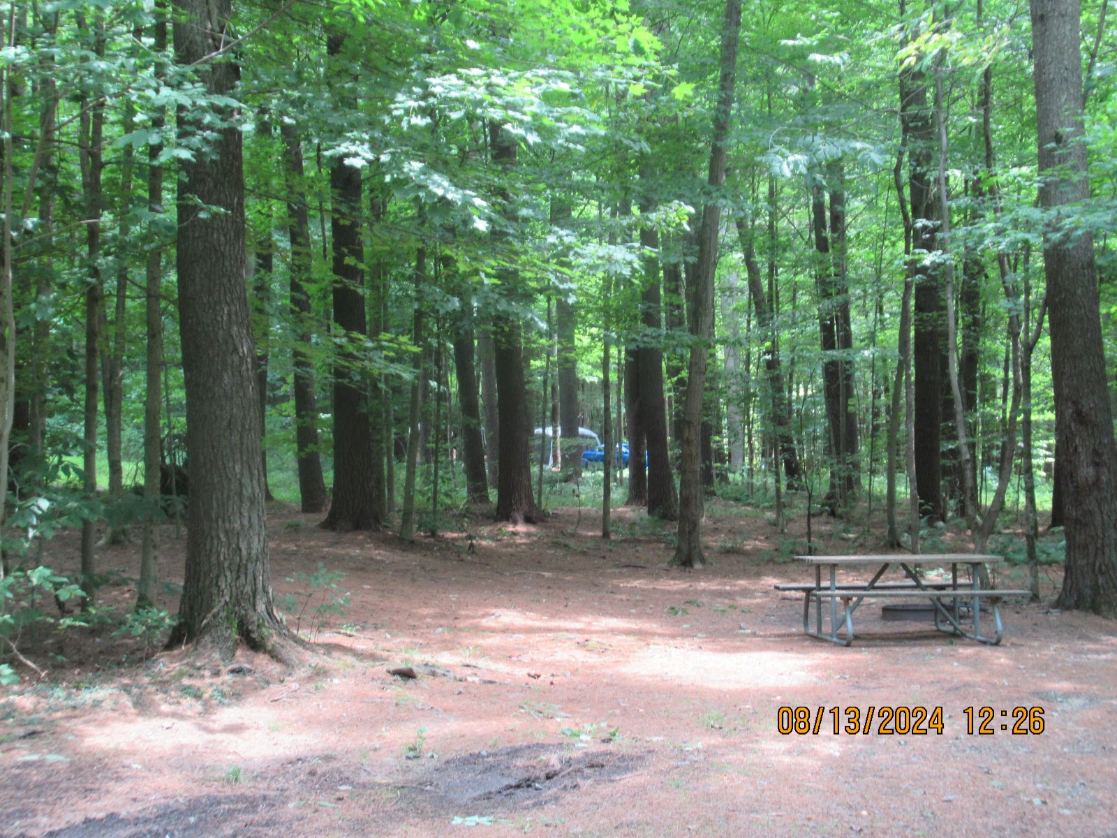 Bowman Lake State Park