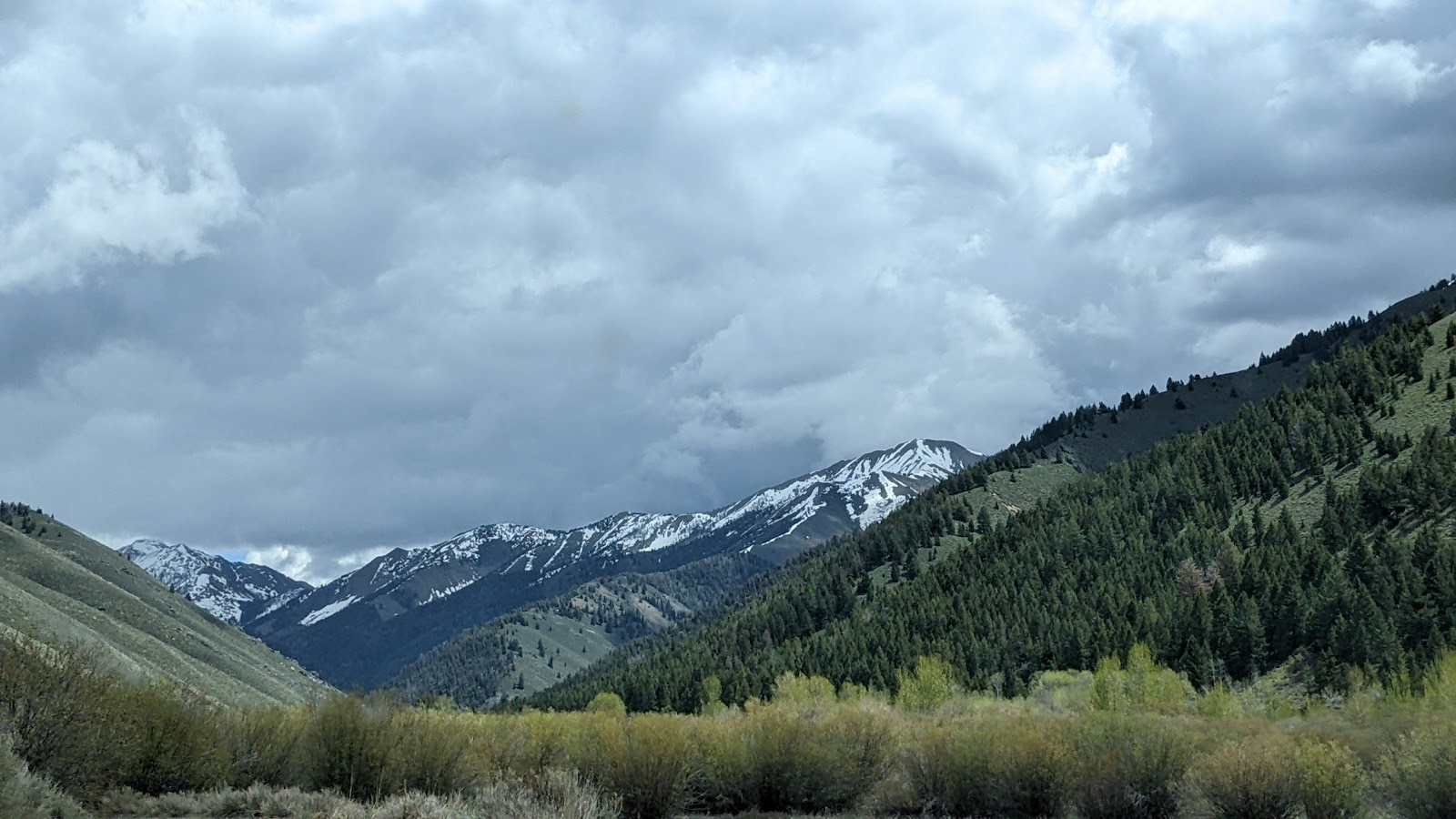 Federal Gulch Campground