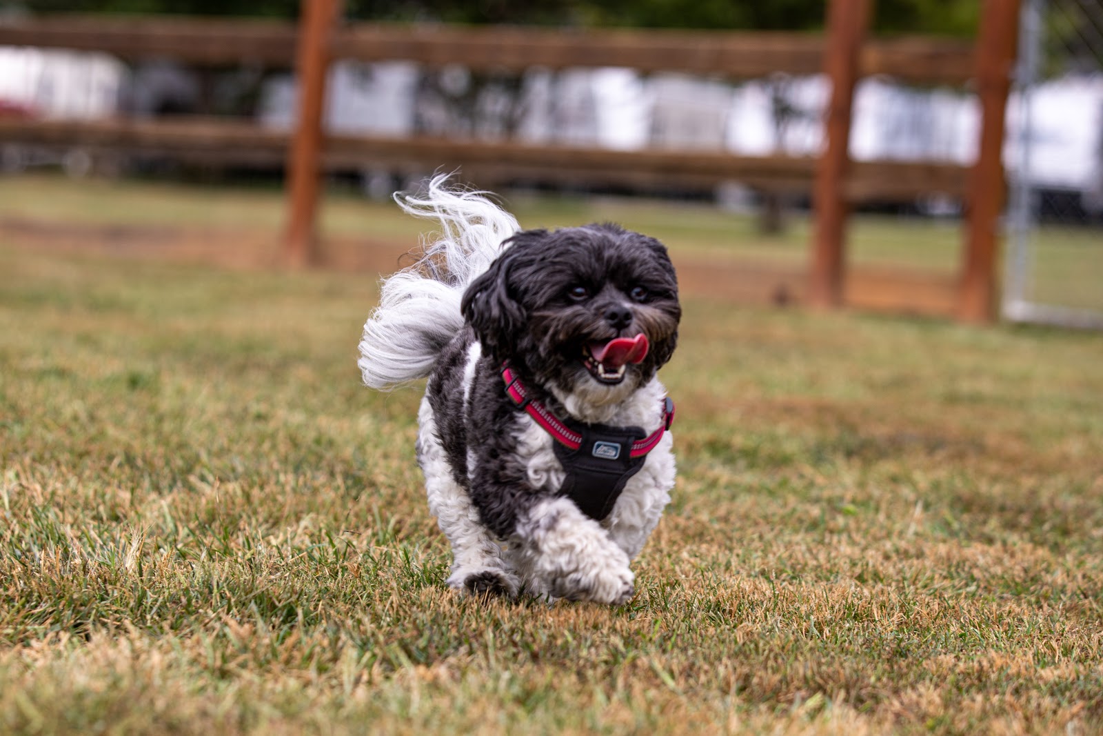 Big Meadow Family Campground