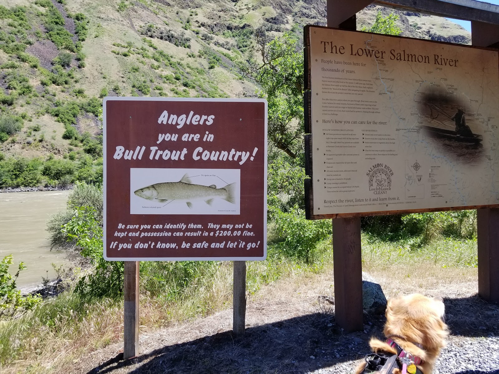 Hammer Creek Campground