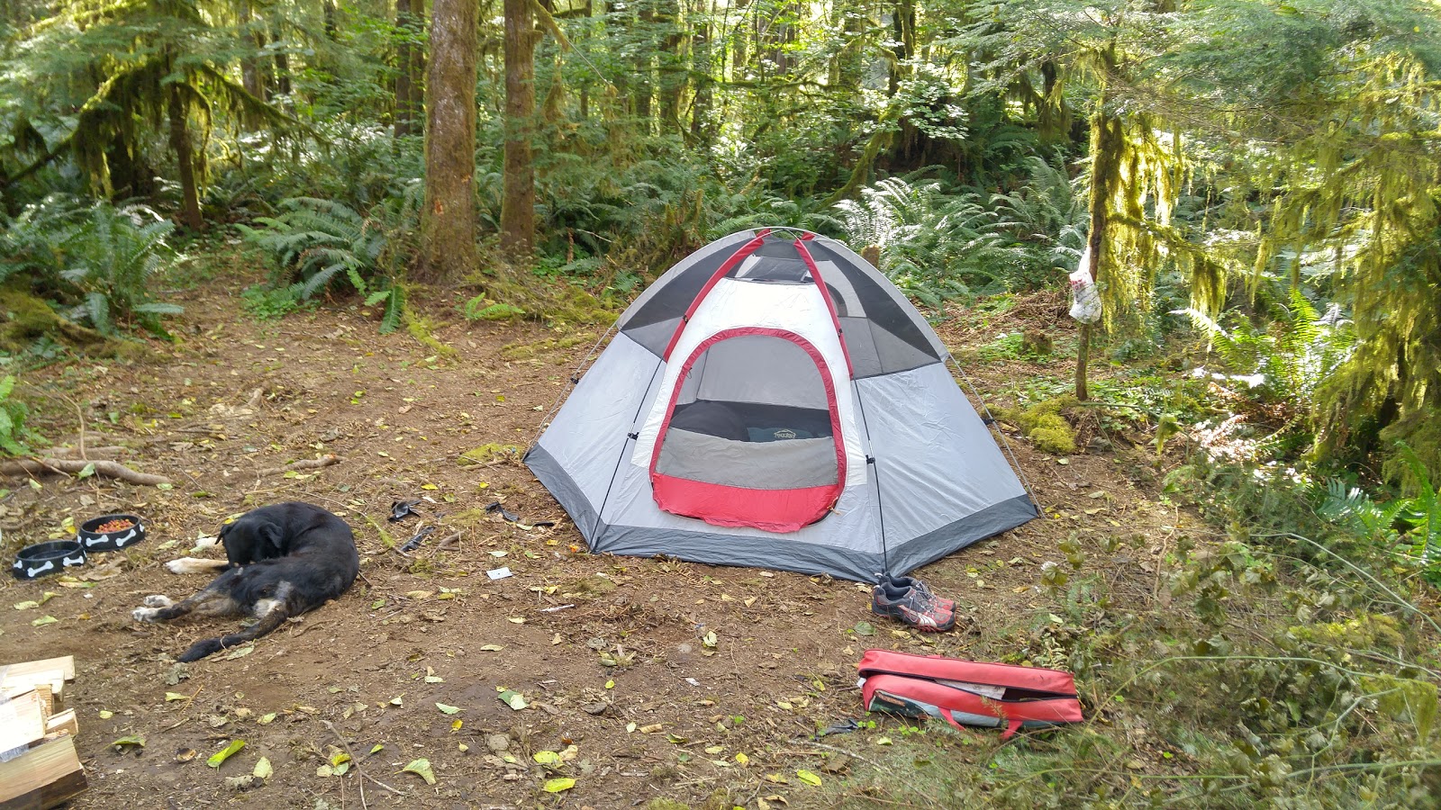 Canyon Creek Campground