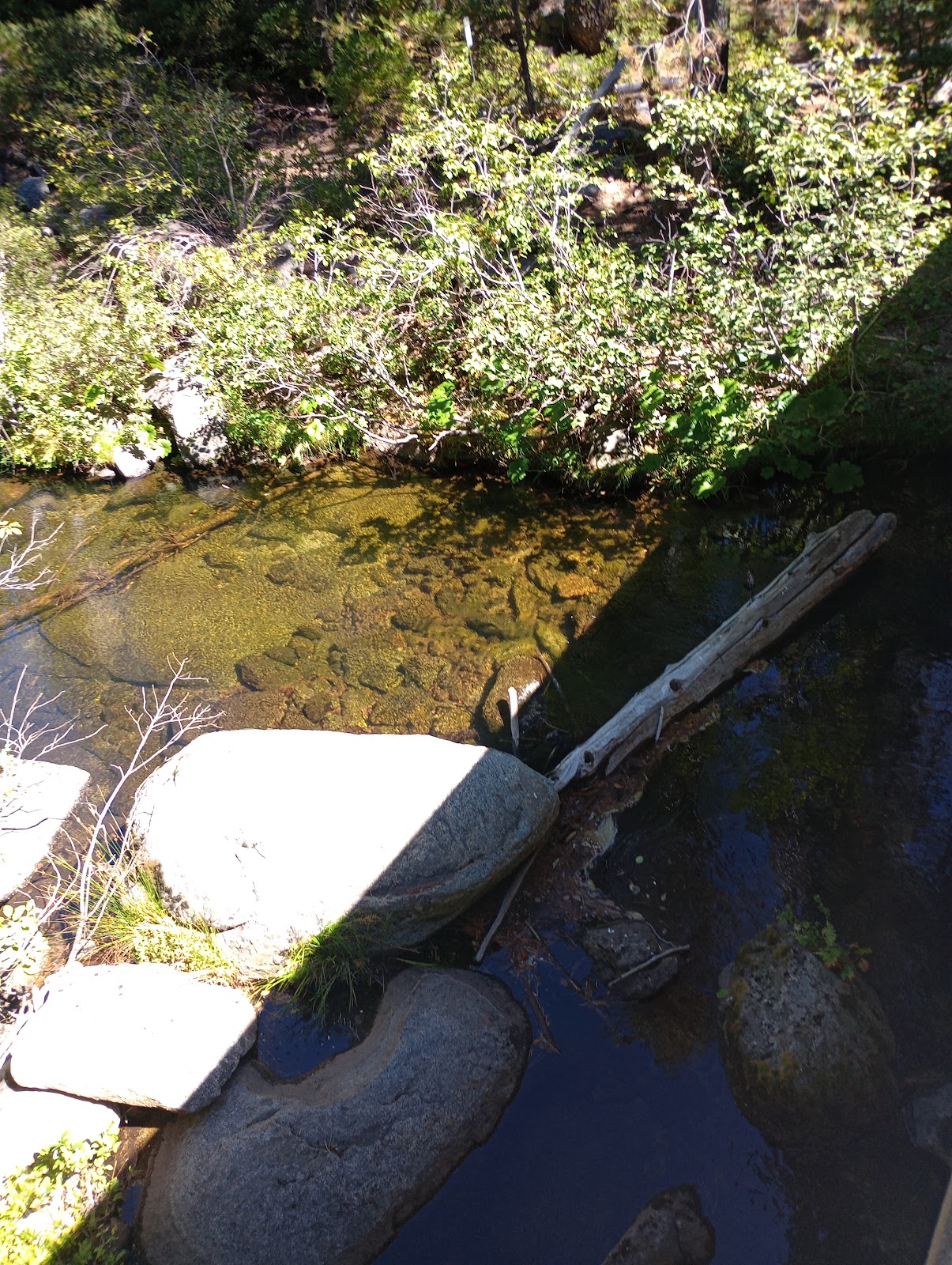 South Fork Group Campground