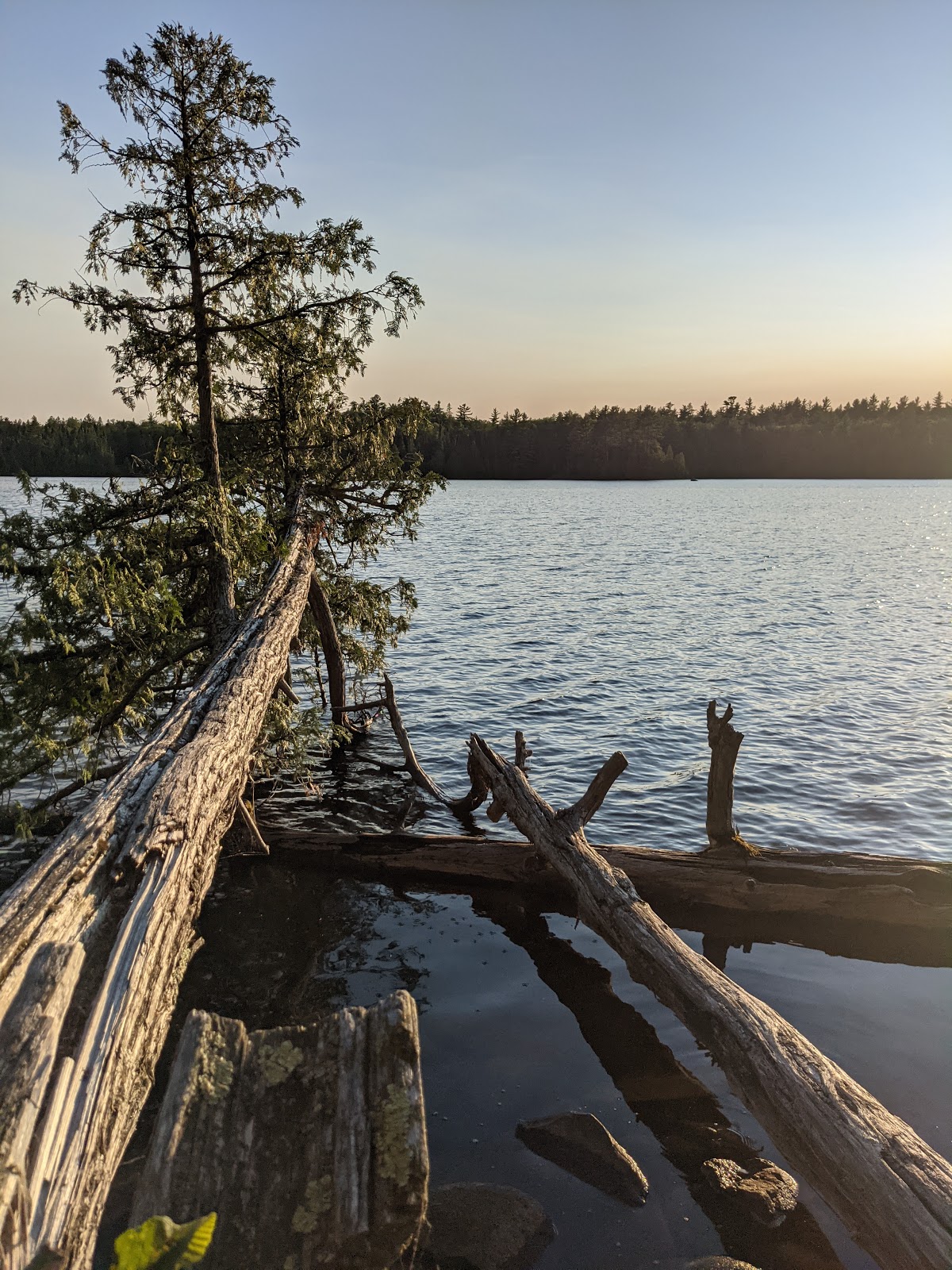Sawbill Lake Campground