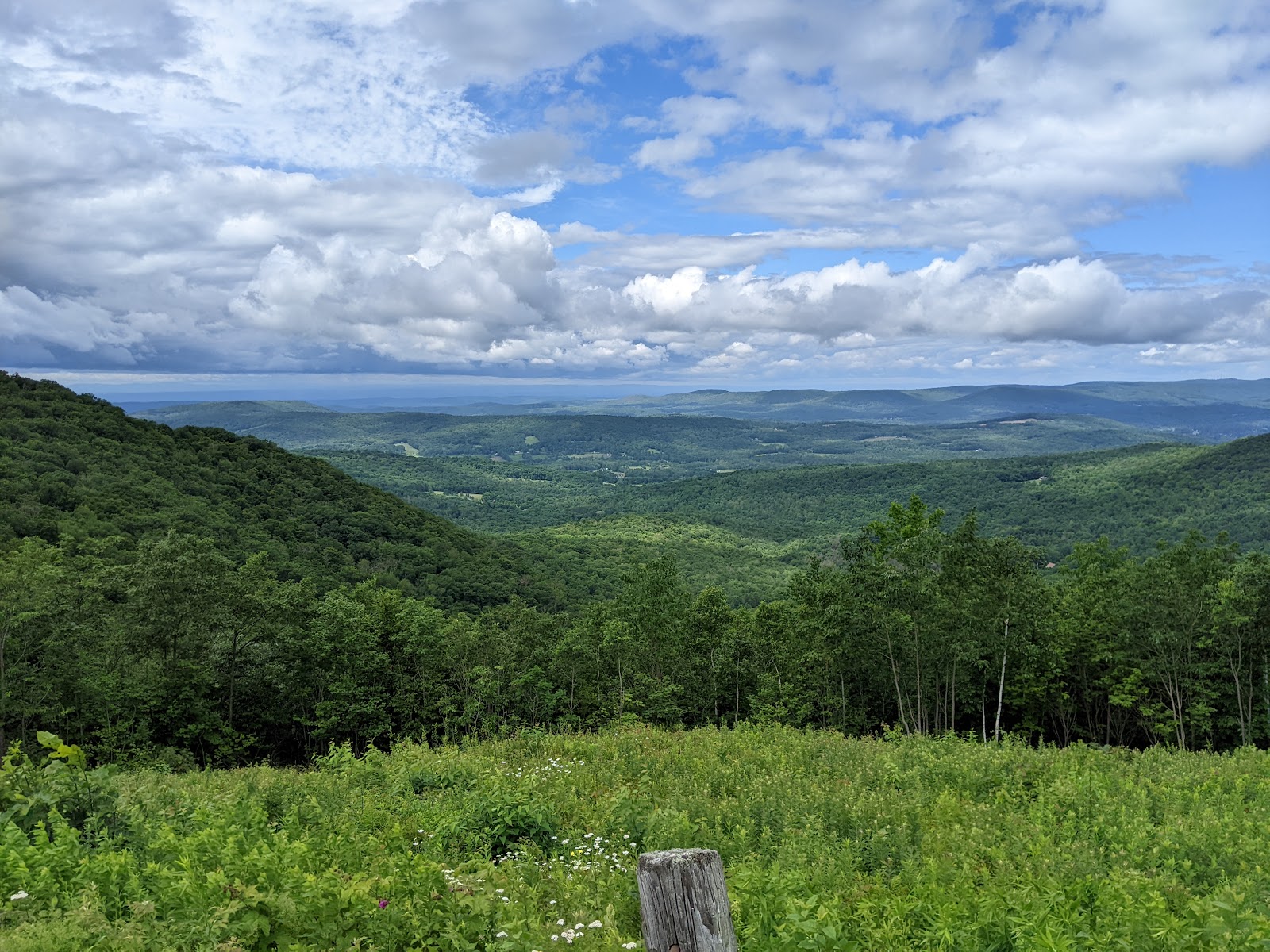 Berry Pond - Pittsfield State Forest