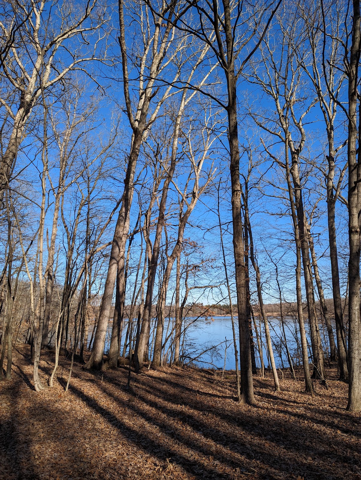 Moraine View State Recreation Area