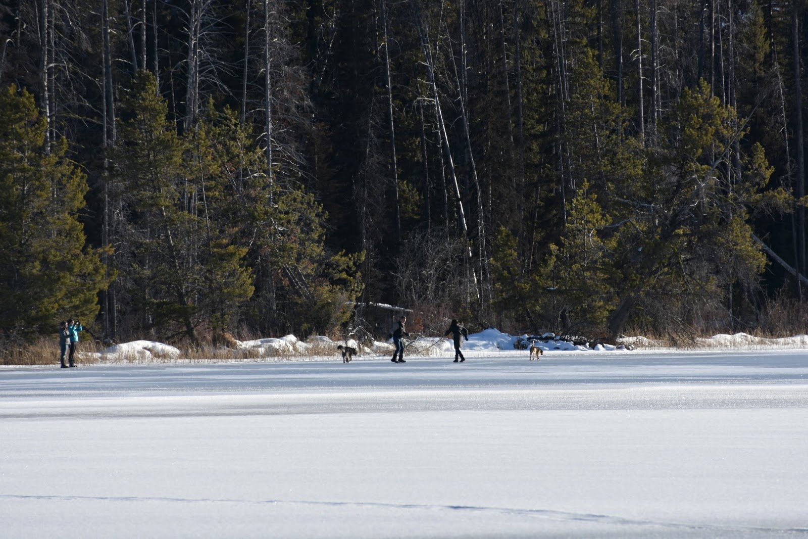 Shoreline Campground