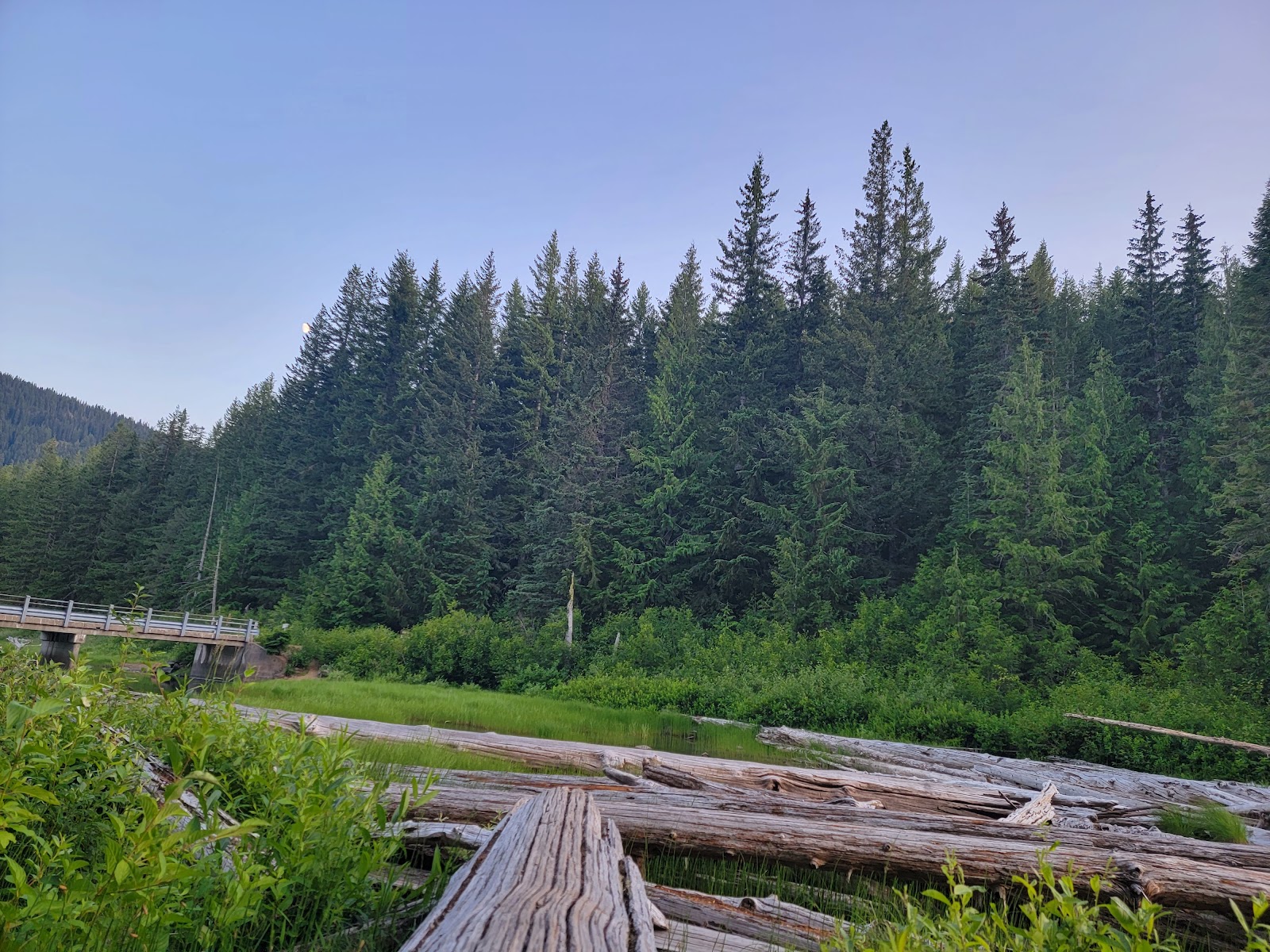 Walupt Lake Campground
