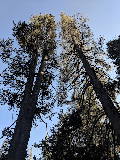 Woods Lake Campground