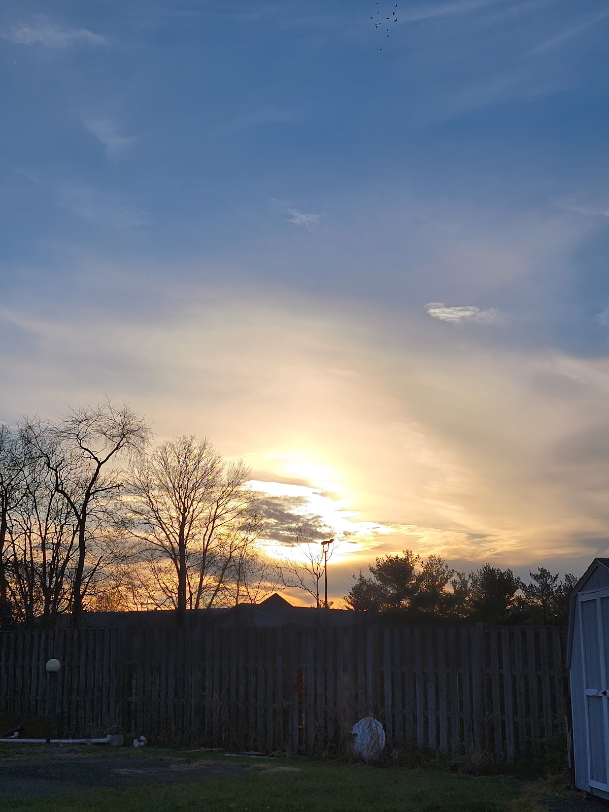 Evergreen Point Village