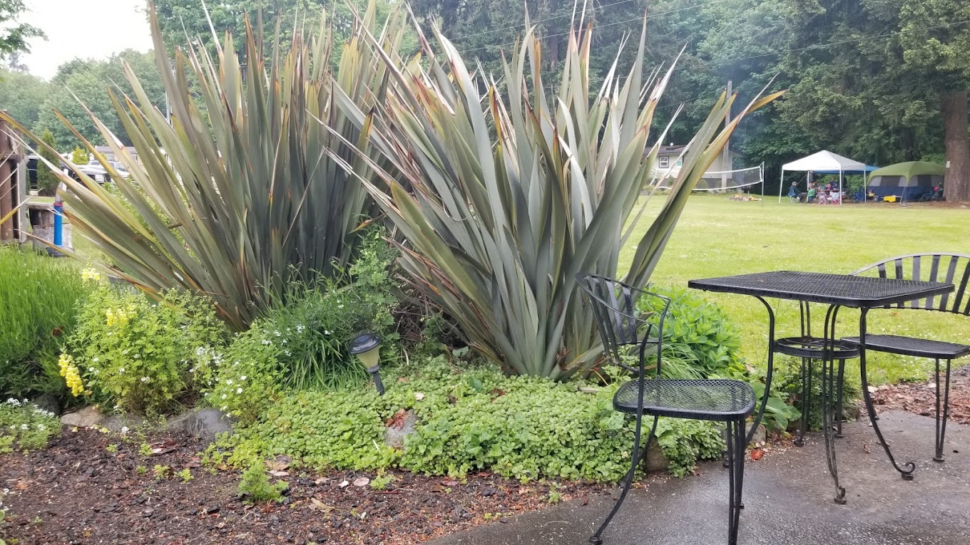 John Waynes Waterfront Resort