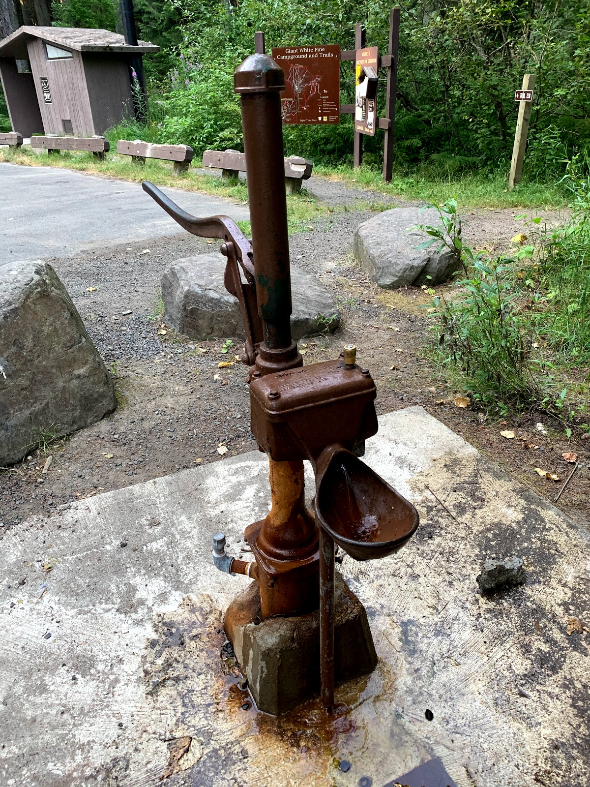 Giant White Pine Campground