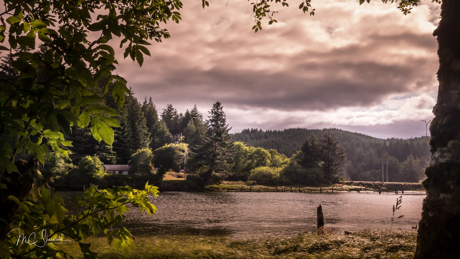 Lincoln City KOA Holiday