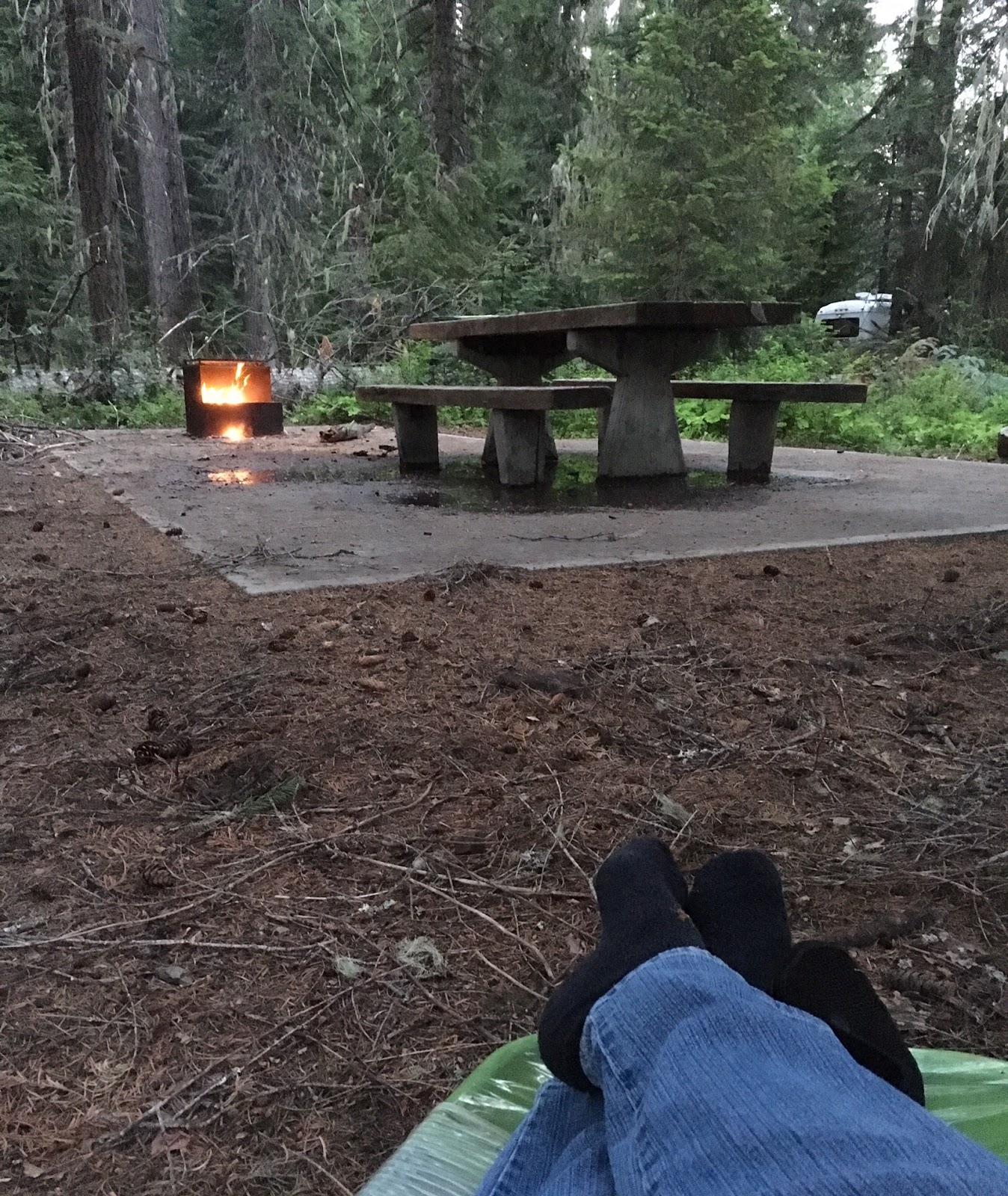 Pine Needle Group Campground