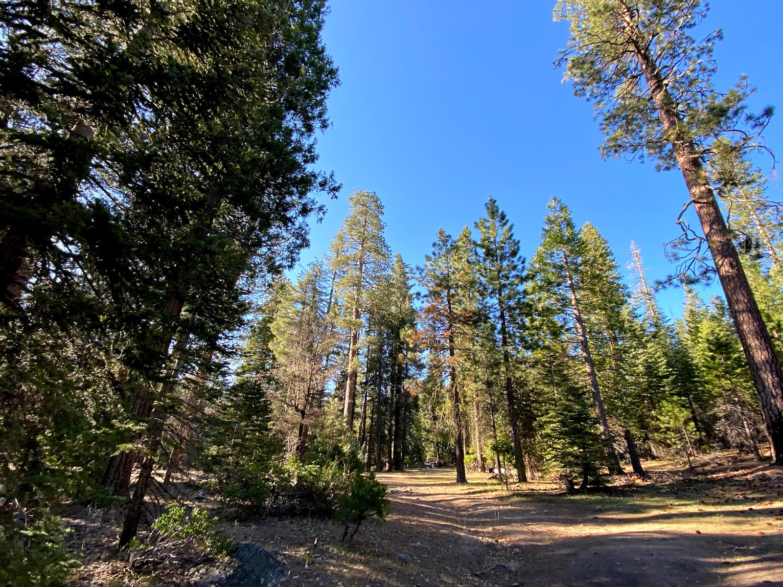 West Kaiser Campground