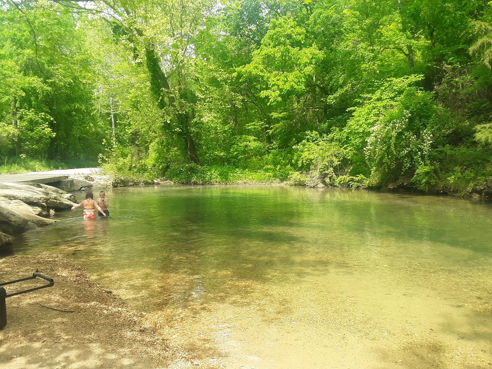 Blue Springs Ranch & Resort