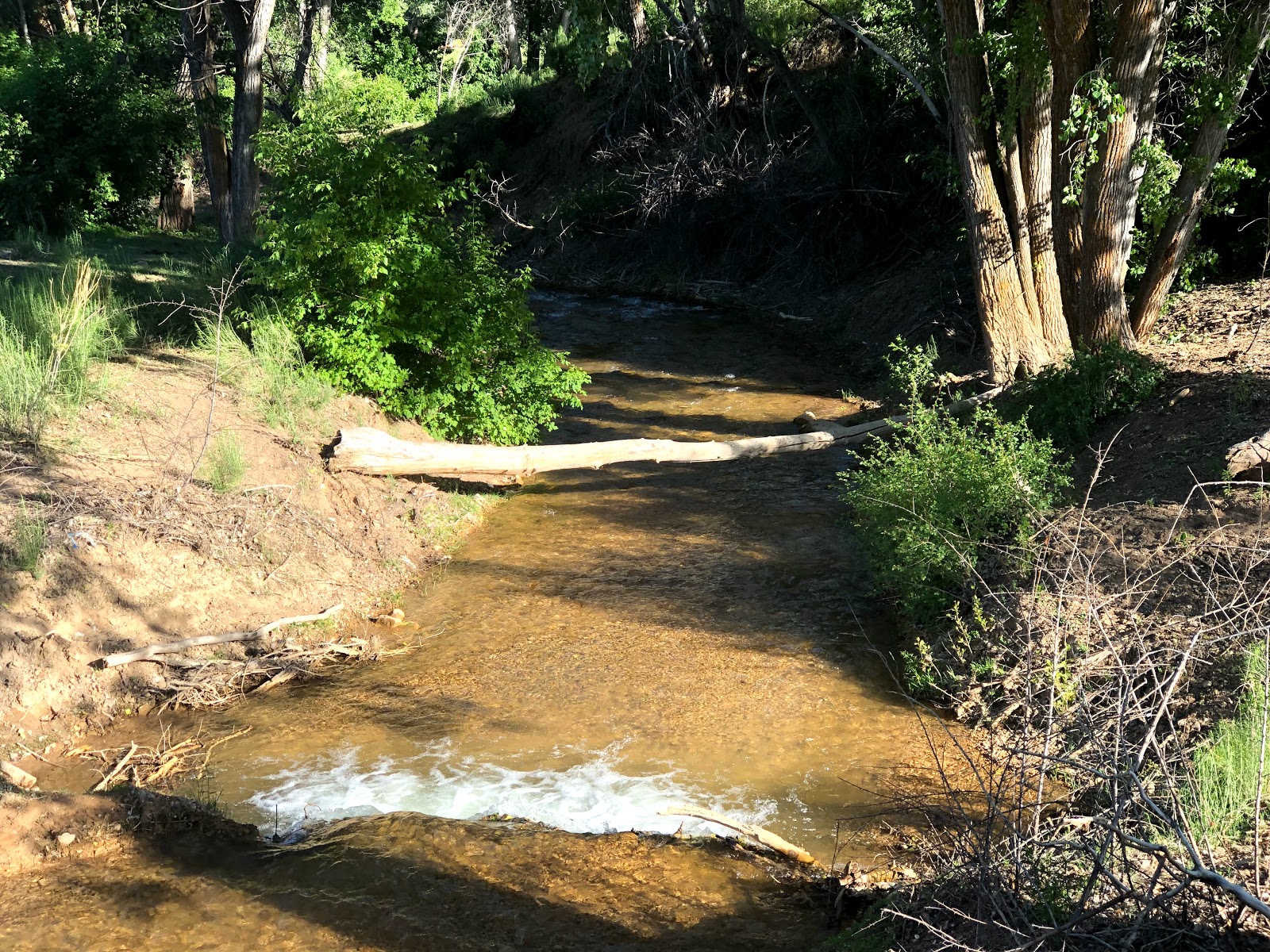 Bauer's Canyon Ranch RV Park