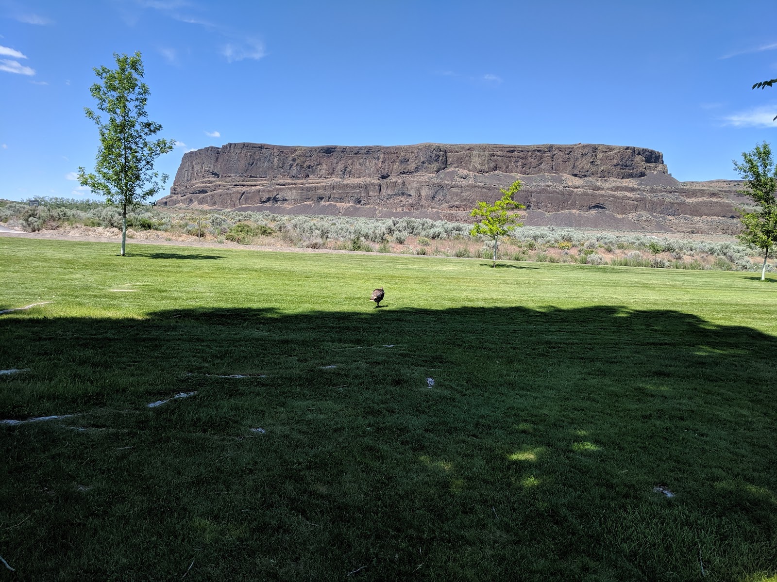 Main - Steamboat Rock State Park