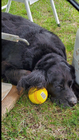 Country Camping Tent & RV Park