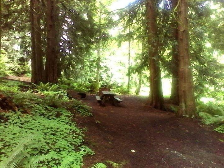 Riffe Lake Campground